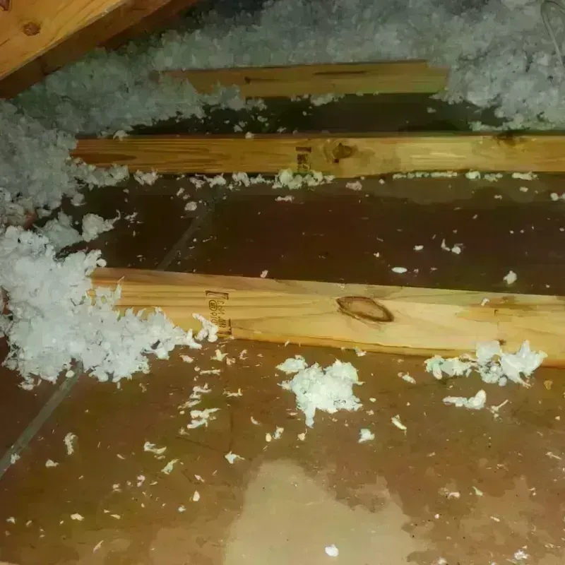 Attic Water Damage in La Huerta, NM